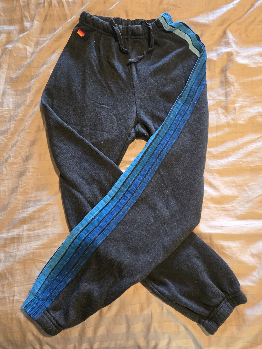 Aviator Nation Navy Blue Joggers with Blue Side Stripes